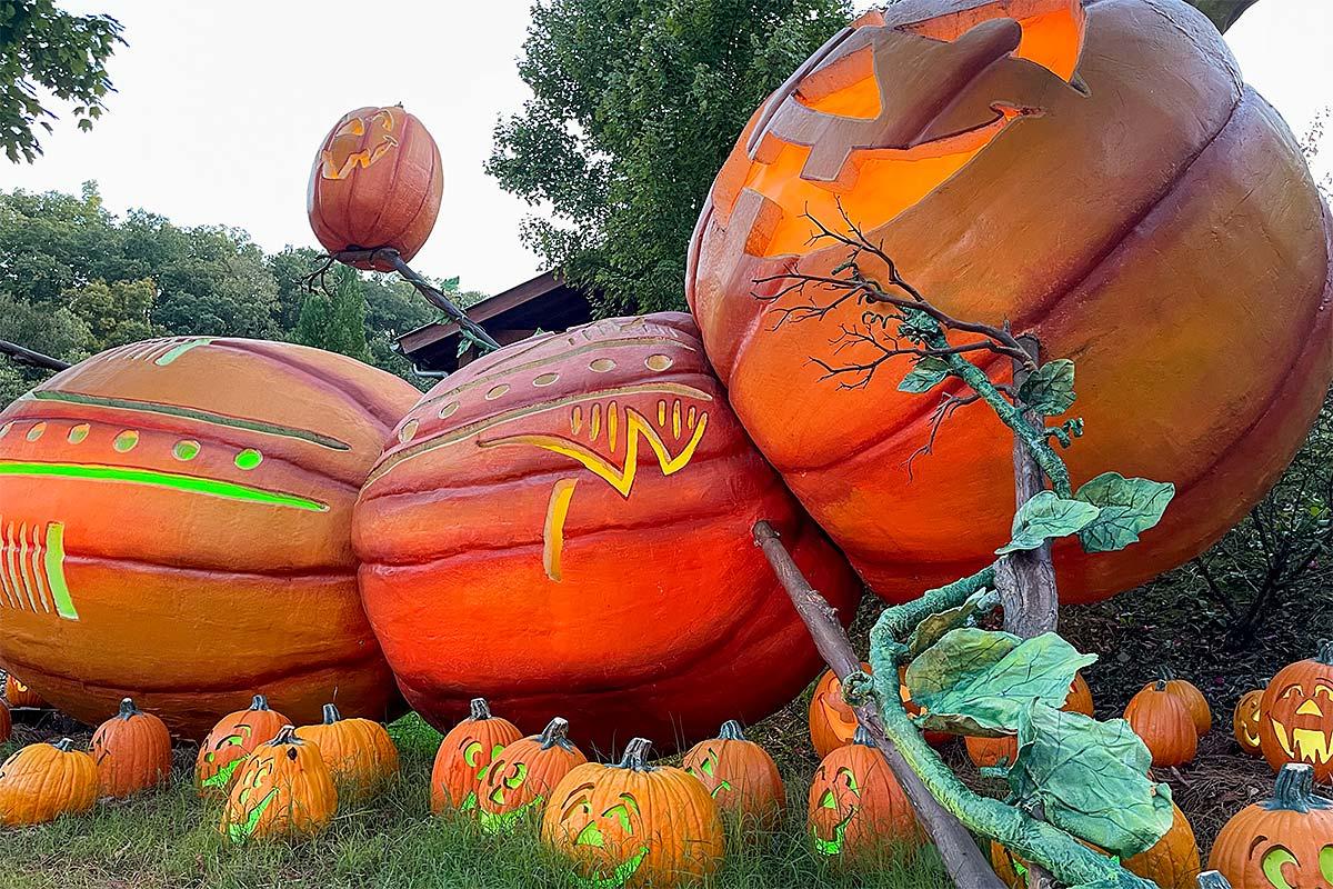 Huge pumpkin display at Dollywood.