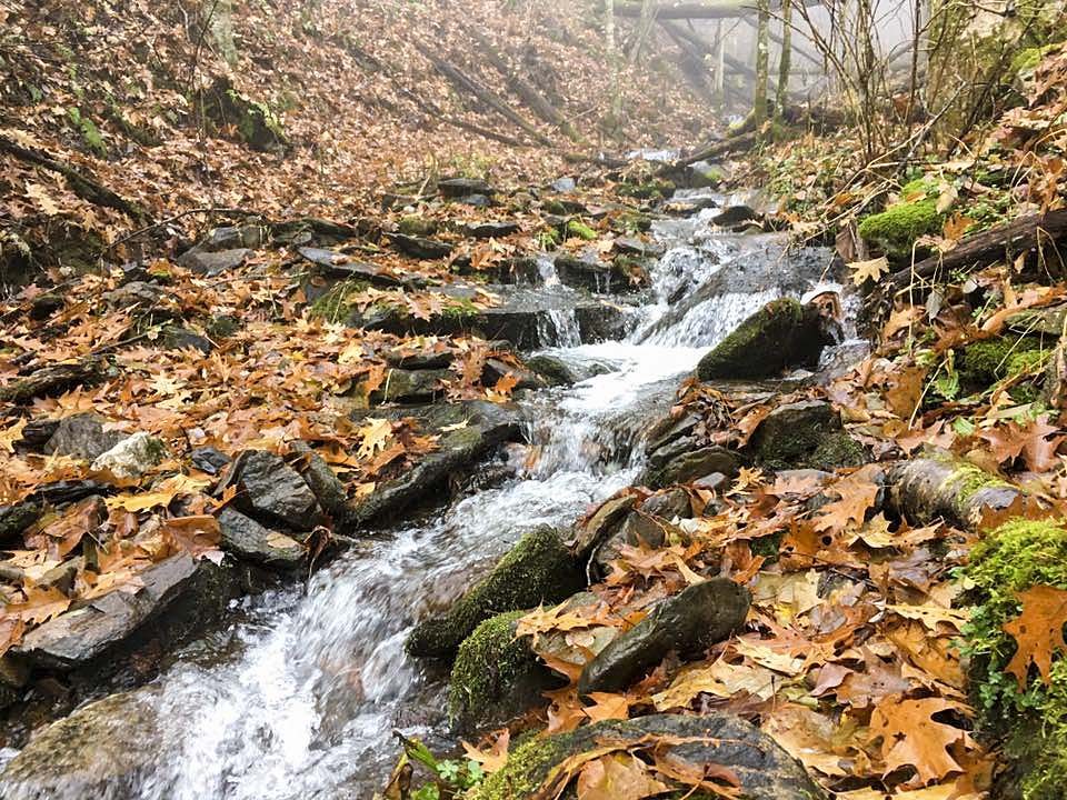 Small mountain stream in fall with leaves